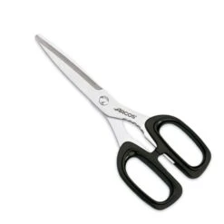 Ciseaux De Cuisine 20 Cm Et Branches ABS