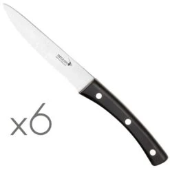 Coffret 6 Couteaux Ă Steak Brasserie